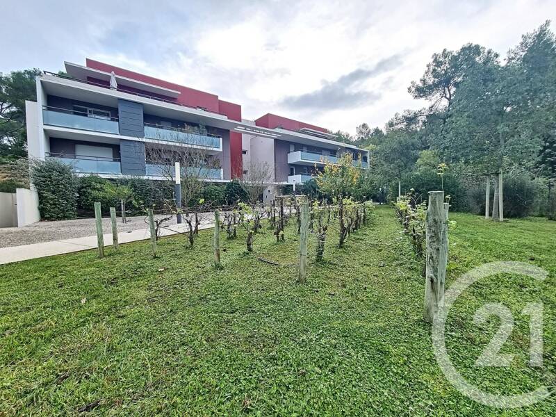 Maison à louer, 42m², MONTFERRIER SUR LEZ