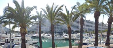 Appartement à louer 650 € 1 pièce 25 m² disponible à partir du 01/09/2025 Villeneuve-Loubet 06270