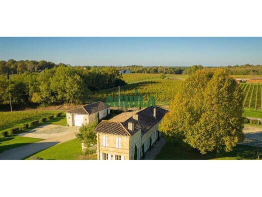 Vignoble à vendre 2 350 000 € 250 m² 670 000 m² de terrain Bordeaux 33000