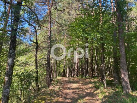 Terrain constructible à vendre 90 000 € 10 693 m² de terrain Le Mas 06910
