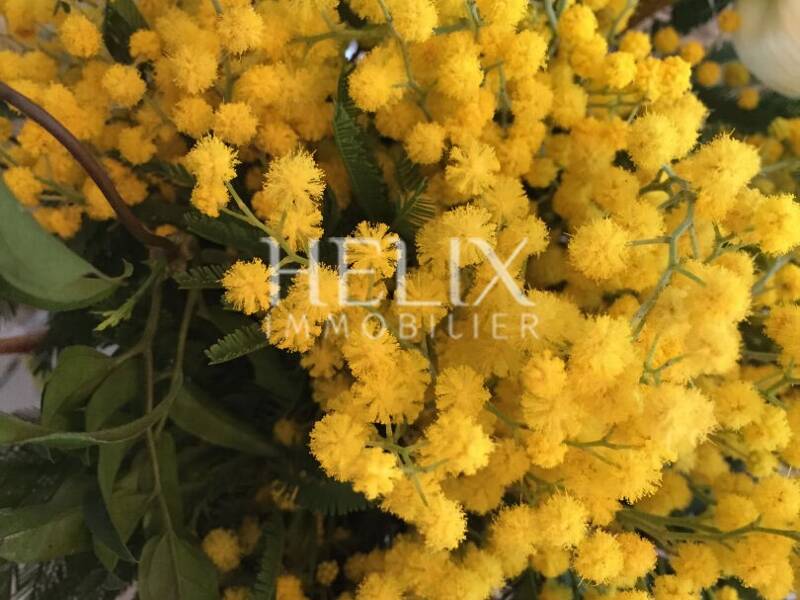 Maison à louer, 34m², MARLY LE ROI