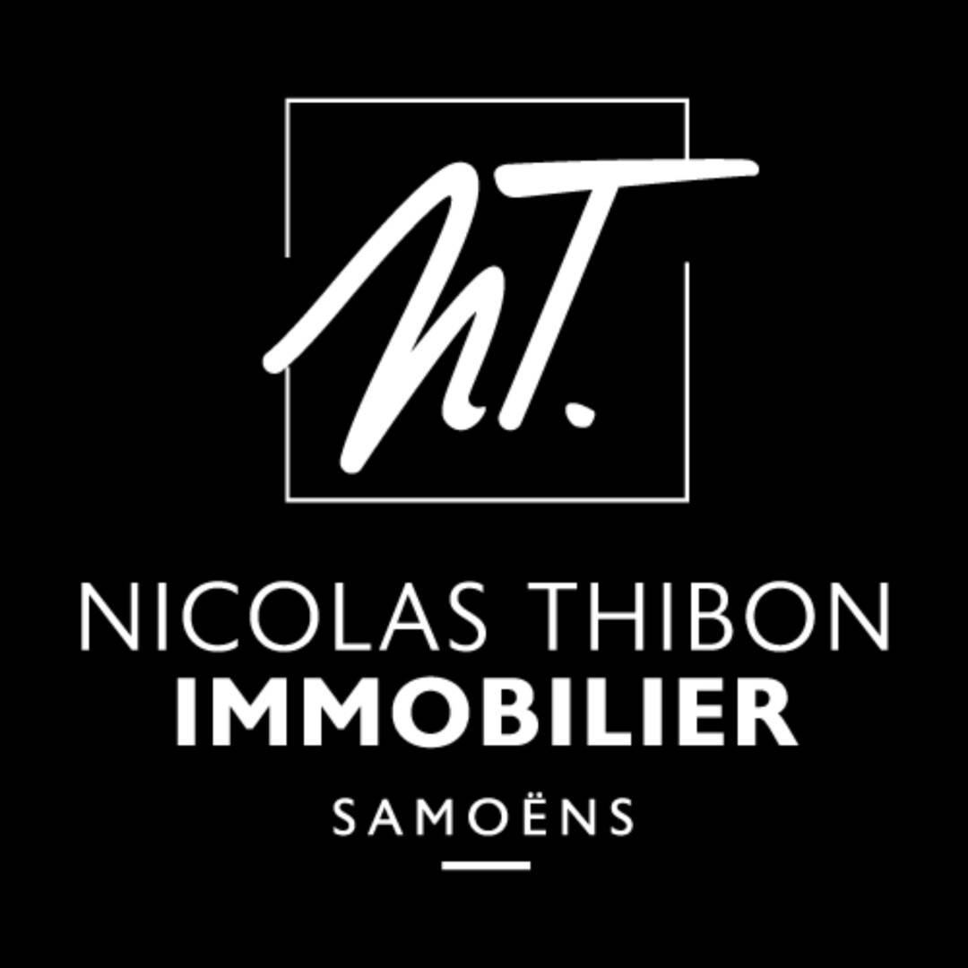NICOLAS THIBON IMMOBILIER