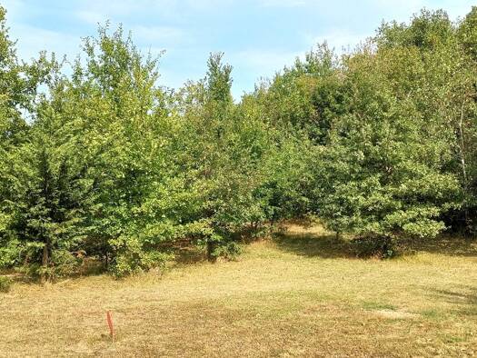 Terrain constructible à vendre 43 000 € 1 025 m² de terrain Montdurausse 81630