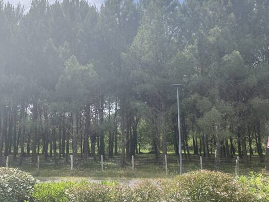 Appartement à vendre 160 500 € 2 pièces 1 chambre 41,3 m² RDC/1 Bénesse-Maremne 40230