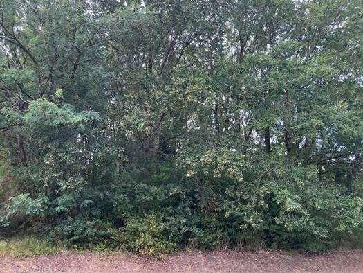 Terrain constructible à vendre - neuf 130 800 € 1 098 m² de terrain Magescq 40140