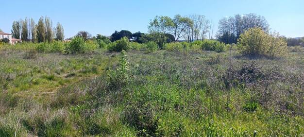 Terrain constructible à vendre 84 900 € 299 m² de terrain Est Coursan 11110