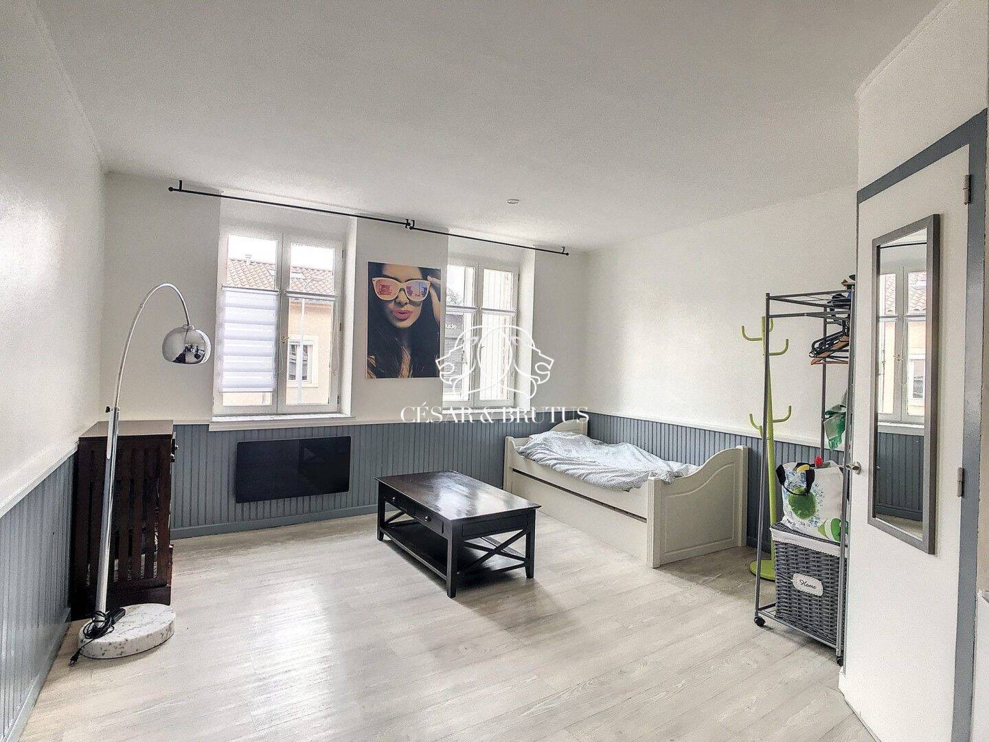 Maison à louer, 21m², VILLEFRANCHE SUR SAONE