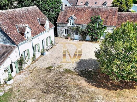 Maison à vendre 359 000 € 8 pièces 1 chambre 228 m² 3 016 m² de terrain Pontlevoy 41400