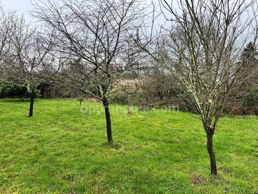 Terrain constructible à vendre 24 000 € 1 500 m² de terrain Langon-sur-Cher 41320