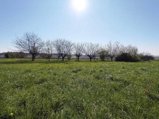 Terrain constructible à vendre 79 000 € 5 642 m² de terrain Saint-Maigrin 17520