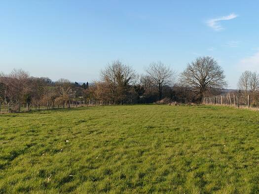 Terrain à vendre 24 000 € 3 300 m² de terrain Pageas 87230