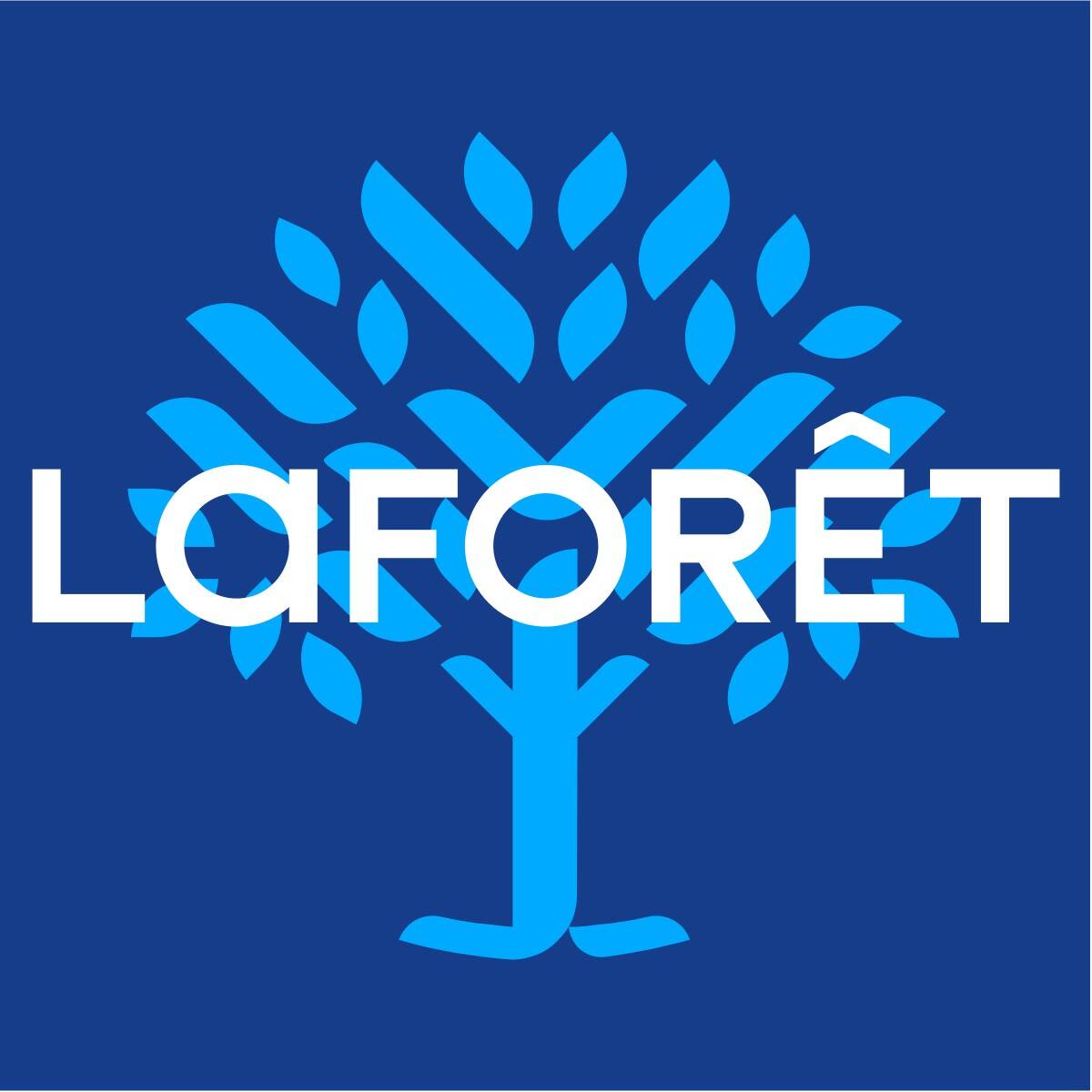 Laforêt Le Vesinet