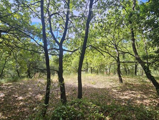 Terrain constructible à vendre 140 000 € 2 800 m² de terrain Montferrat 83131