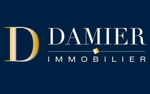 DAMIER IMMOBILIER