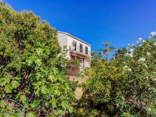 Maison à vendre 365 000 € 6 pièces 5 chambres 130,4 m² 2 000 m² de terrain Pietroso 20242