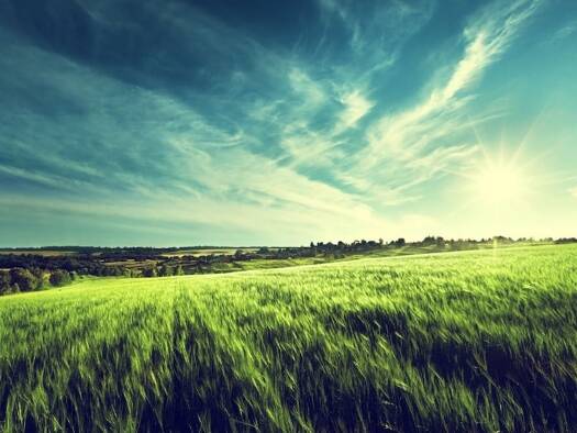 Terrain constructible à vendre 32 000 € 1 040 m² de terrain Germondans 25640