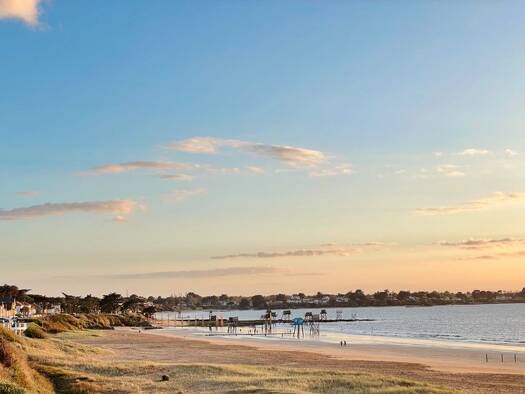 Maison à vendre 1 815 900 € 25 pièces 15 chambres 622 m² 624 m² de terrain Saint-Michel-Chef-Chef 44730