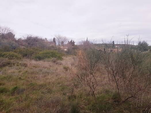 Terrain constructible viabilisé à vendre 195 000 € 341 m² de terrain Pignan 34570