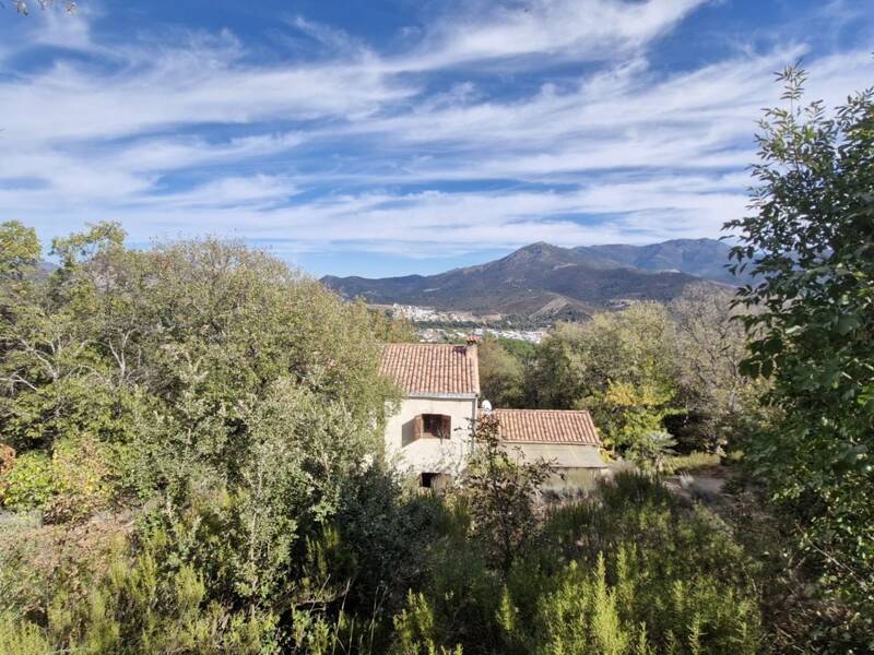 Maison à vendre, 165m², CORTE