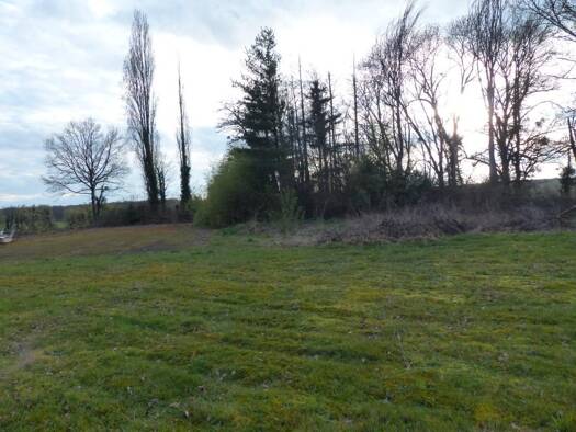 Maison à vendre 165 000 € 3 pièces 1 chambre 186 m² 5 000 m² de terrain Séligney 39120