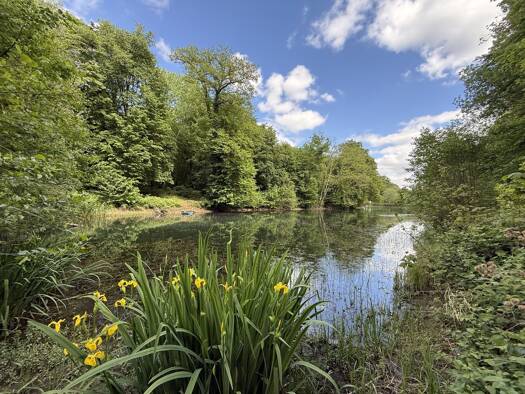 Propriété de loisirs à vendre 255 000 € 23 000 m² de terrain Vilcey-sur-Trey 54700