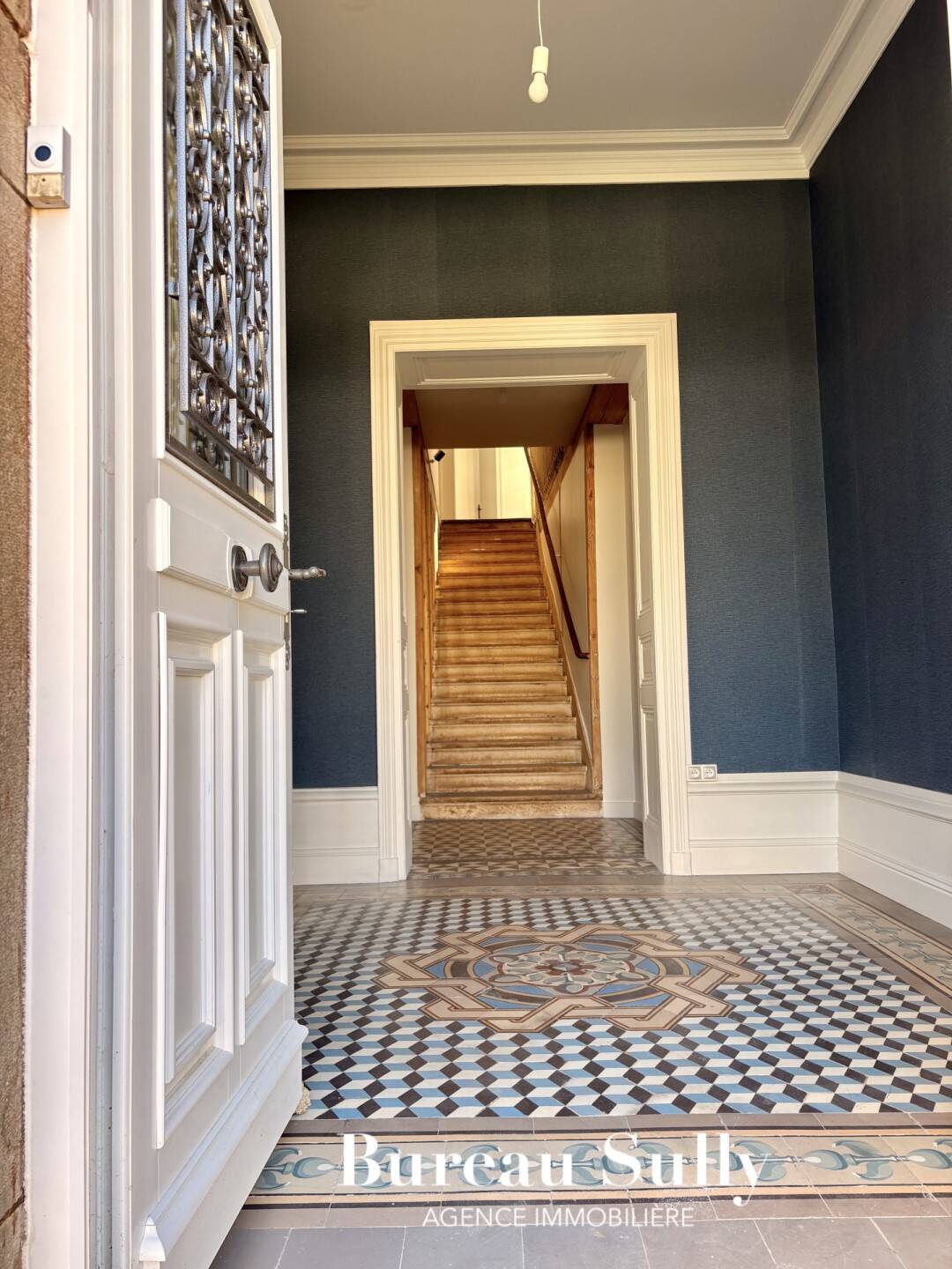 Maison à vendre, 300m², SAINT DIDIER SUR CHALARONNE