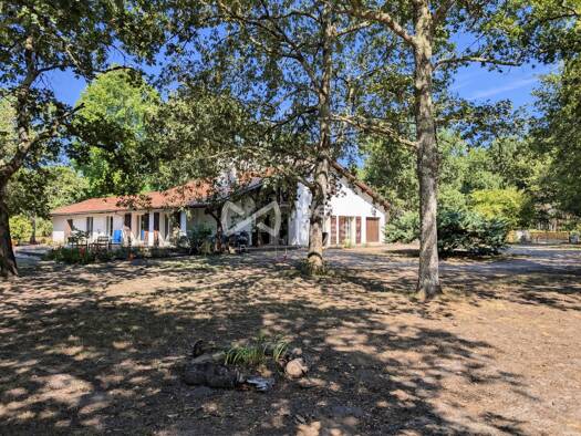 Maison à vendre 555 000 € 9 pièces 7 chambres 216 m² 32 124 m² de terrain Moustey 40410
