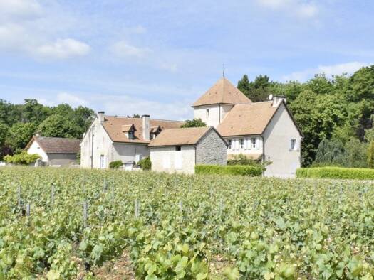 Maison à vendre 695 000 € 10 pièces 6 chambres 360 m² 3 500 m² de terrain Mercurey 71640