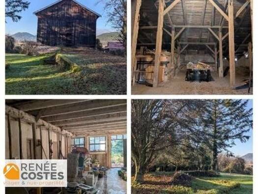 Maison en viager occupé Bouquet 54 975 € 2 pièces 3 chambres 125 m² 3 414 m² de terrain Corcieux 88430