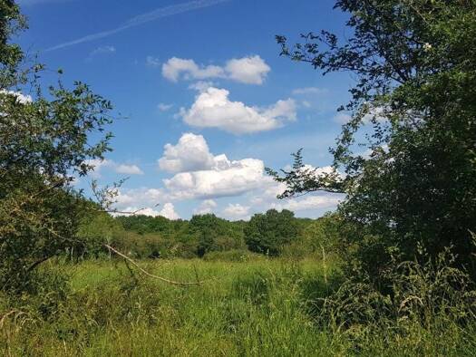 Terrain à vendre 63 780 € 12 054 m² de terrain Mennetou-sur-Cher 41320