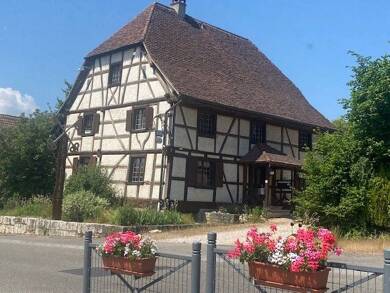 Maison à vendre 296 000 € 7 pièces 5 chambres 190 m² 800 m² de terrain Bettlach 68480