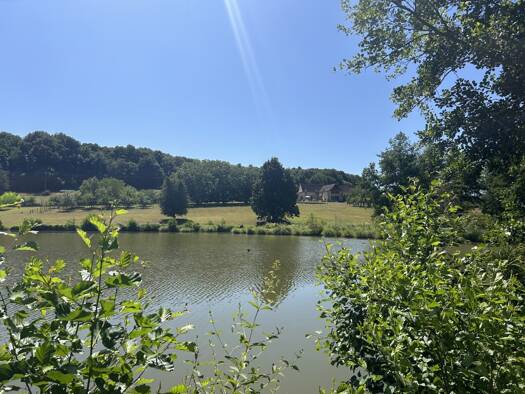 Villa à vendre 1 266 000 € 7 pièces 4 chambres 371 m² 132 155 m² de terrain Tourouvre Au Perche 61190