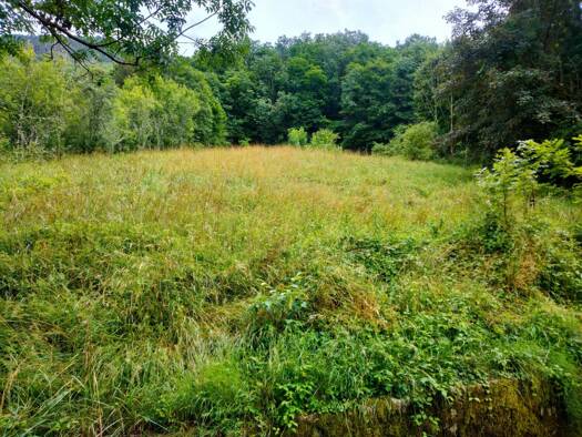 Terrain constructible à vendre 25 000 € 1 852 m² de terrain Salins-les-Bains 39110