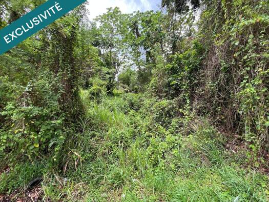 Terrain constructible à vendre 115 000 € 2 389 m² de terrain Le Marin 97290