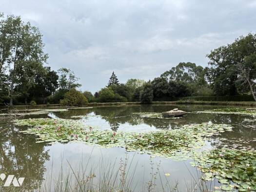 Terrain à vendre 69 000 € 8 114 m² de terrain Brée 53150