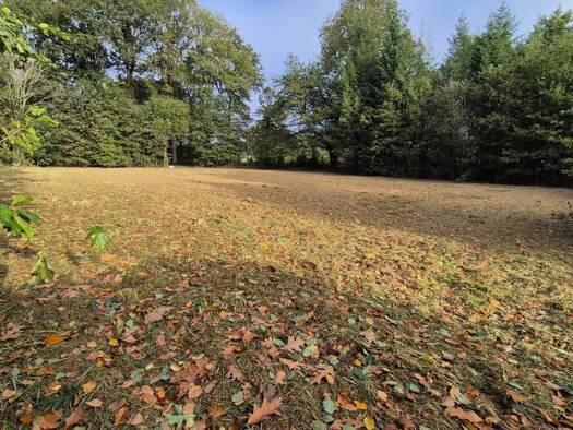 Terrain constructible à vendre 58 000 € 2 812 m² de terrain Peyrilhac 87510
