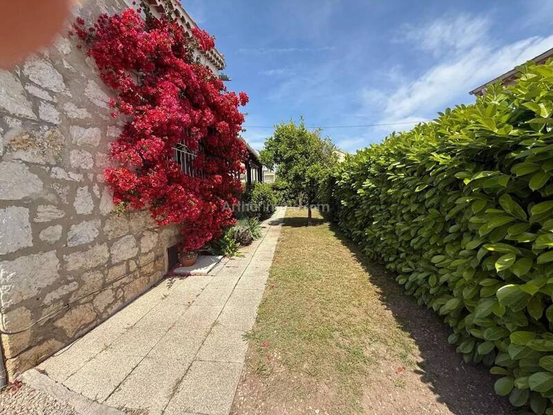 Maison à louer, 80m², VILLENEUVE LOUBET