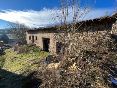 Maison à vendre 99 000 € 7 pièces 3 chambres 330,9 m² 1 600 m² de terrain Châtelneuf 42940