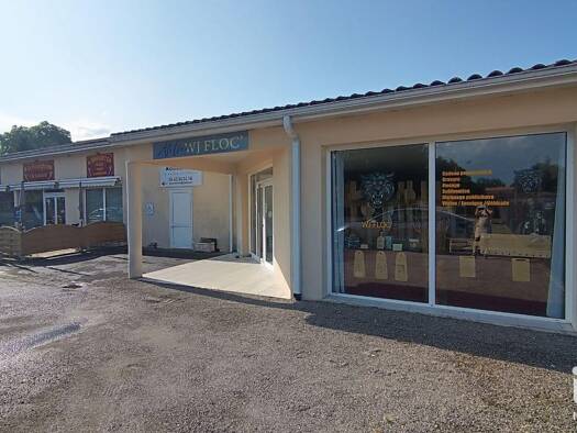 Local commercial à vendre 234 500 € 480 m² de surface de vente Saint-Martin-d'Ary 17270