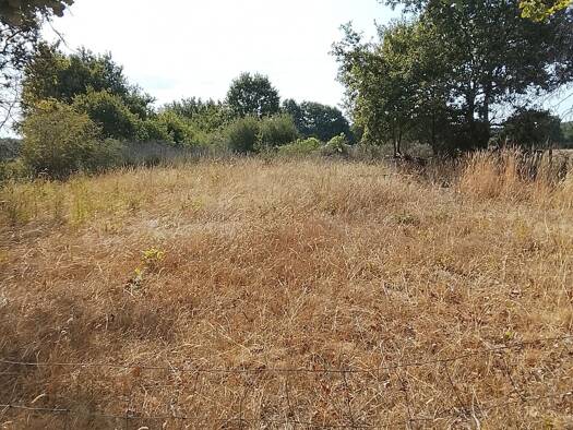 Terrain à vendre 9 700 € 2 400 m² de terrain Soulaines-sur-Aubance 49610