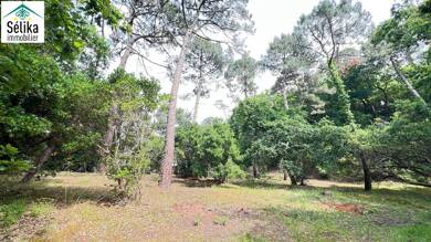 Terrain à vendre 1 355 000 € 1 053 m² de terrain Pereire-Ville-d'Hiver Arcachon 33120