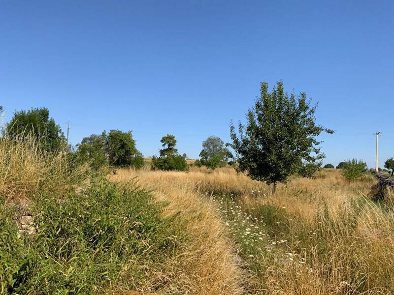 Maison à vendre, 269m², CONTREXEVILLE