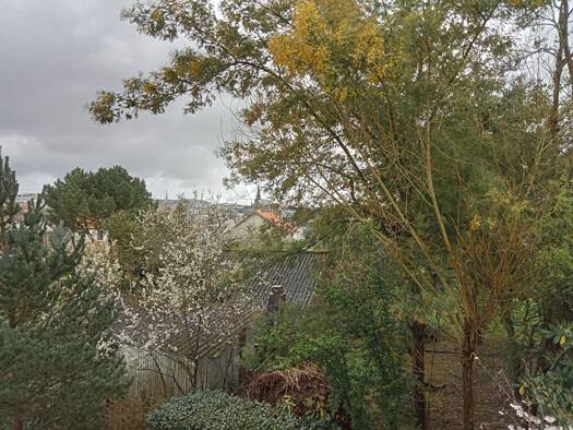 Appartement à louer 642 € 2 pièces 1 chambre 45 m² Étage 1/3 Orvasserie Saint-Herblain 44800