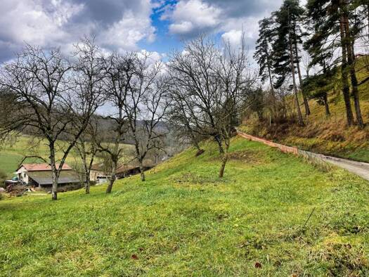 Terrain constructible à vendre 71 000 € 1 136 m² de terrain Saint-Étienne-de-Saint-Geoirs 38590