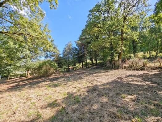 Terrain constructible à vendre 56 000 € 2 191 m² de terrain Jussac 15250