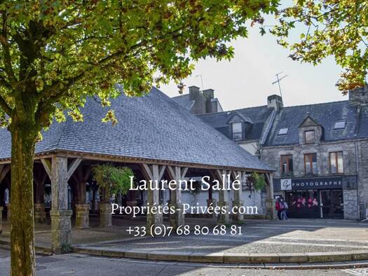 Immeuble à vendre 343 200 € 290 m² Zone Urbaine Questembert 56230