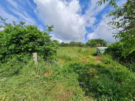 Terrain constructible à vendre 13 000 € 2 874 m² de terrain Nieuil 16270