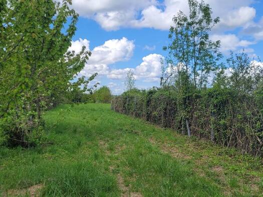 Terrain constructible à vendre 19 000 € 2 072 m² de terrain Lozay 17330