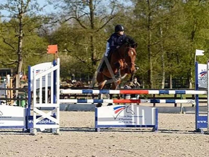 Maison à vendre, 240m², VILLEMER