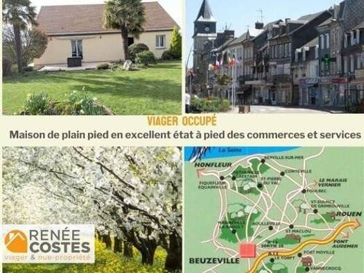 Maison en viager occupé Bouquet 33 520 € 4 pièces 3 chambres 90 m² 752 m² de terrain Beuzeville 27210